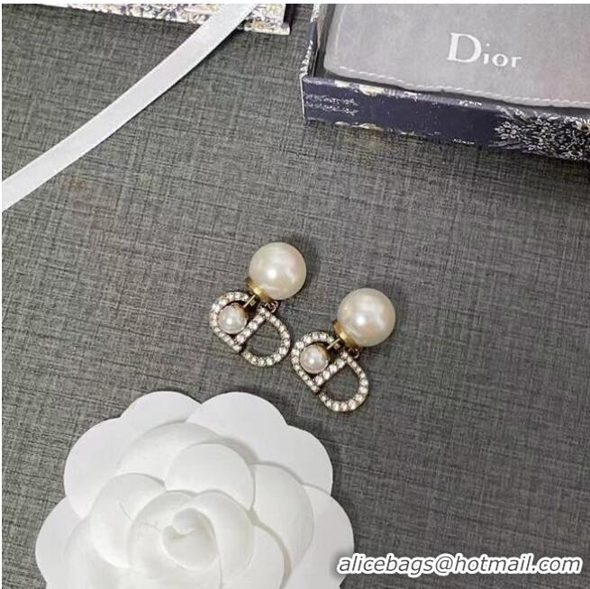 Affordable Price Dior Earrings CE6616