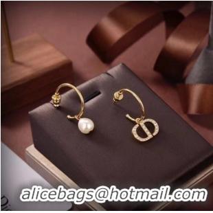 Good Product Inexpensive Dior Earrings CE6661