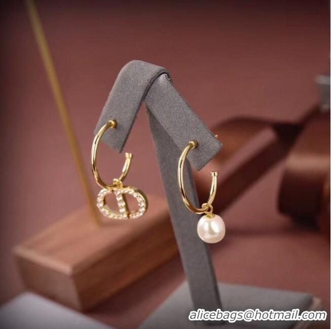 Good Product Inexpensive Dior Earrings CE6661