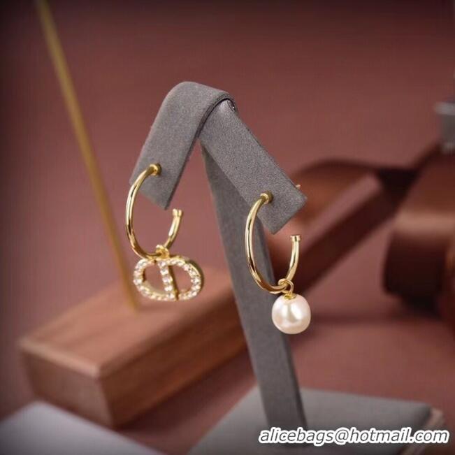 Good Product Inexpensive Dior Earrings CE6661