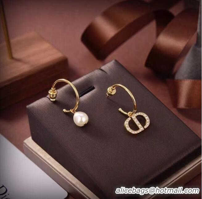 Good Product Inexpensive Dior Earrings CE6661