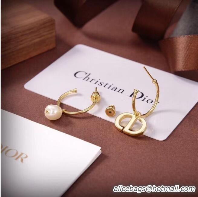 Good Product Inexpensive Dior Earrings CE6661