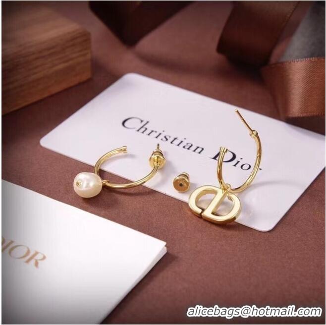 Good Product Inexpensive Dior Earrings CE6661