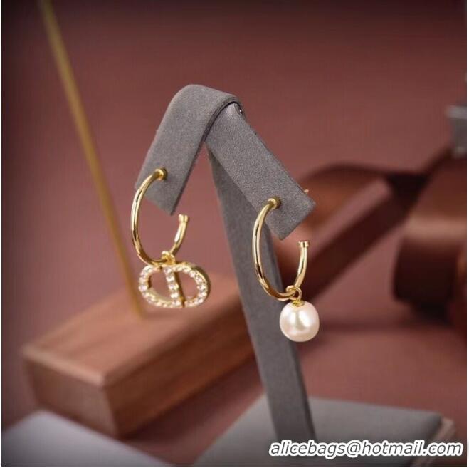 Good Product Inexpensive Dior Earrings CE6661