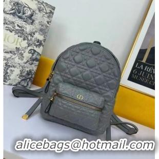 Market Sells SMALL DIOR BACKPACK Cannage Lambskin M9222U grey