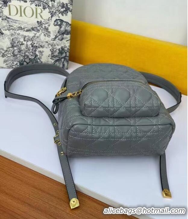 Market Sells SMALL DIOR BACKPACK Cannage Lambskin M9222U grey