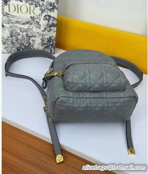 Market Sells SMALL DIOR BACKPACK Cannage Lambskin M9222U grey