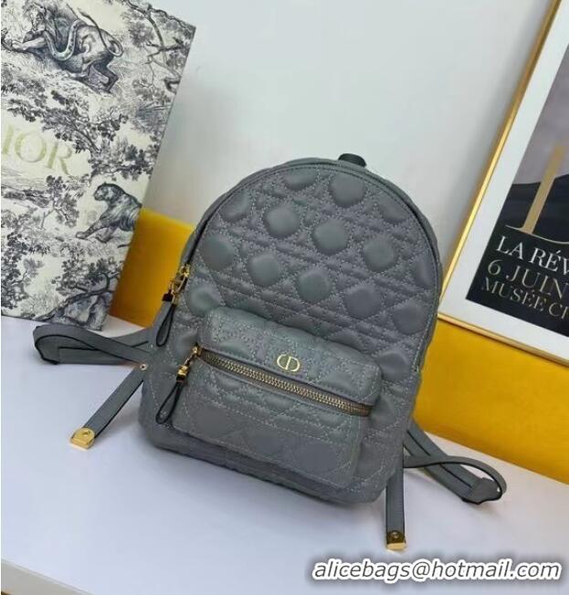 Market Sells SMALL DIOR BACKPACK Cannage Lambskin M9222U grey