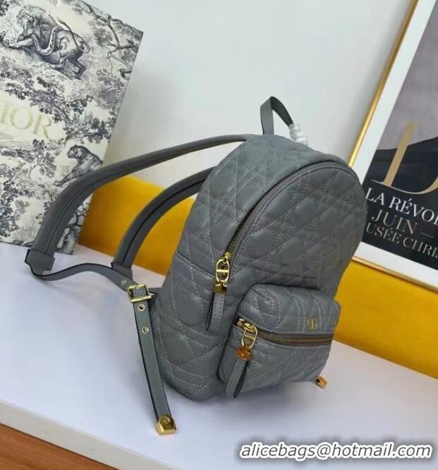 Market Sells SMALL DIOR BACKPACK Cannage Lambskin M9222U grey