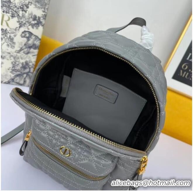 Market Sells SMALL DIOR BACKPACK Cannage Lambskin M9222U grey