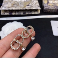 Top Quality Dior Earrings CE6605