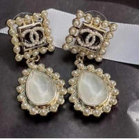 Unique Grade Chanel Earrings CE6653