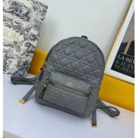 Market Sells SMALL DIOR BACKPACK Cannage Lambskin M9222U grey