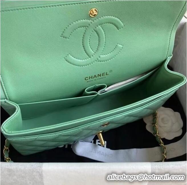 Well Crafted Chanel classic handbag Lambskin & gold Metal A01112 light green