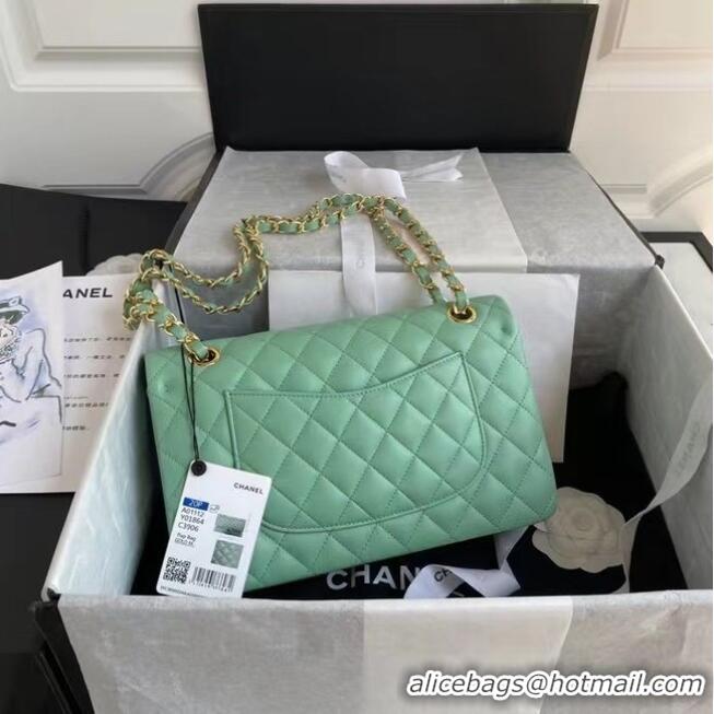 Well Crafted Chanel classic handbag Lambskin & gold Metal A01112 light green