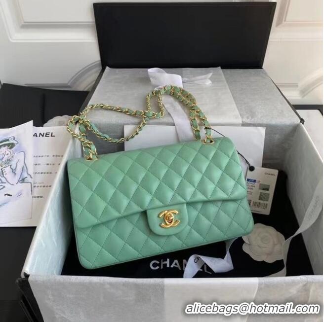 Well Crafted Chanel classic handbag Lambskin & gold Metal A01112 light green