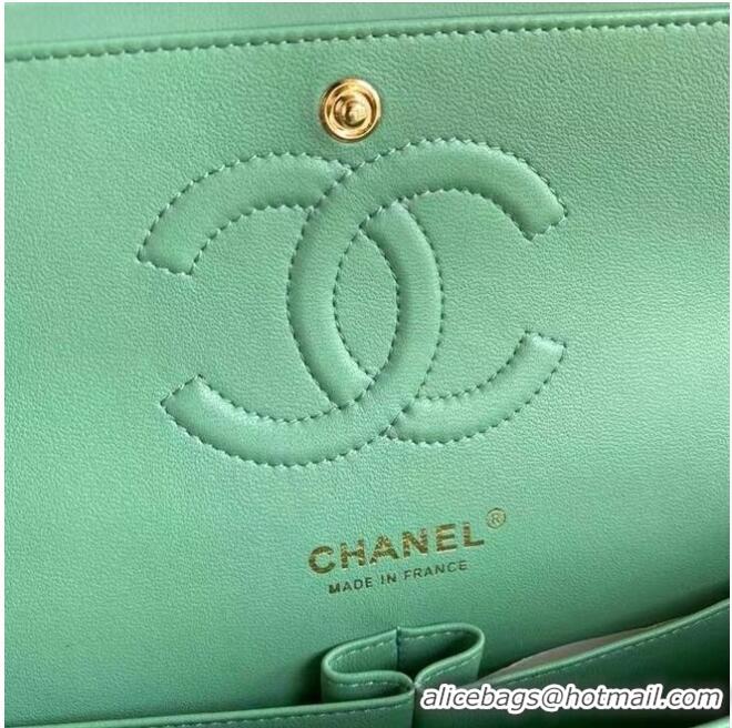 Well Crafted Chanel classic handbag Lambskin & gold Metal A01112 light green