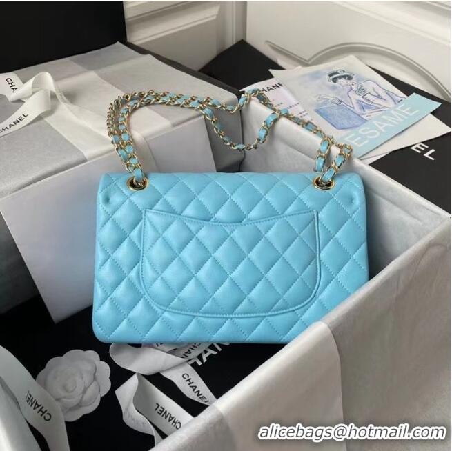 Reasonable Price chanel classic handbag Lambskin & gold Metal A01112 light blue