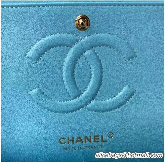 Reasonable Price chanel classic handbag Lambskin & gold Metal A01112 light blue