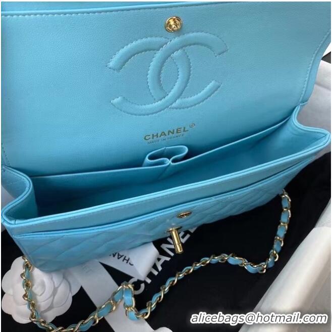 Reasonable Price chanel classic handbag Lambskin & gold Metal A01112 light blue