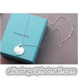 Luxury Classic TIFFANY Necklace CE6669