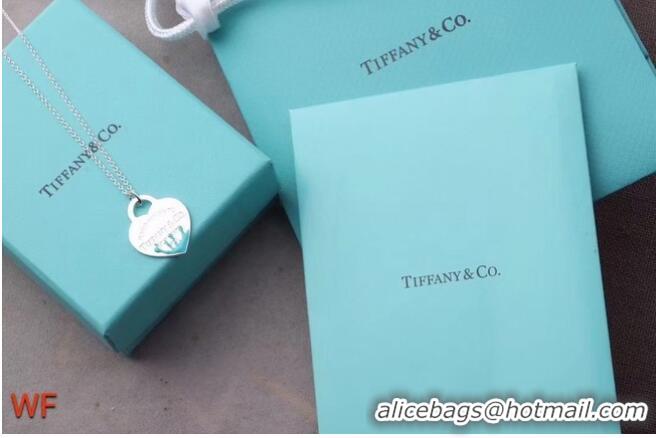 Luxury Classic TIFFANY Necklace CE6669