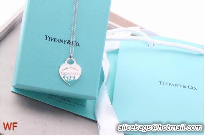 Luxury Classic TIFFANY Necklace CE6669