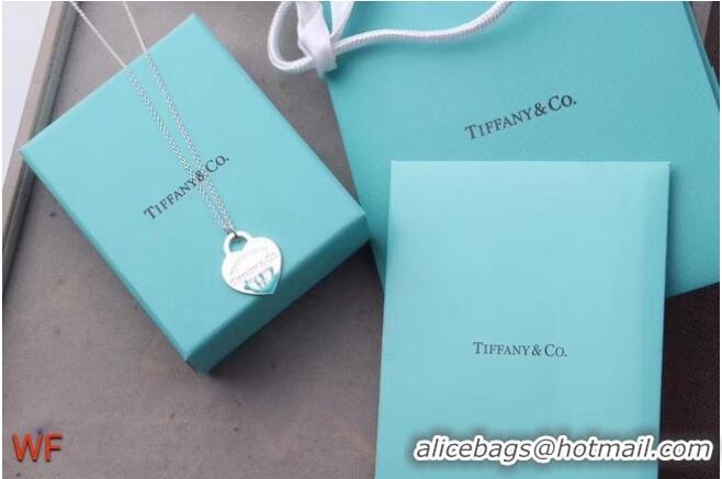 Luxury Classic TIFFANY Necklace CE6669