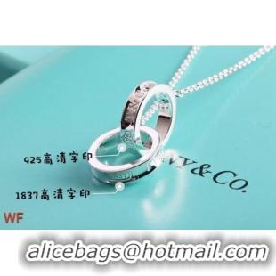 Free Shipping Promotional TIFFANY Necklace CE6670