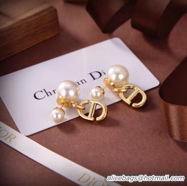 Luxury Classic Dior Earrings CE6674