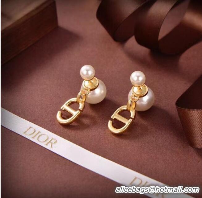 Luxury Classic Dior Earrings CE6674