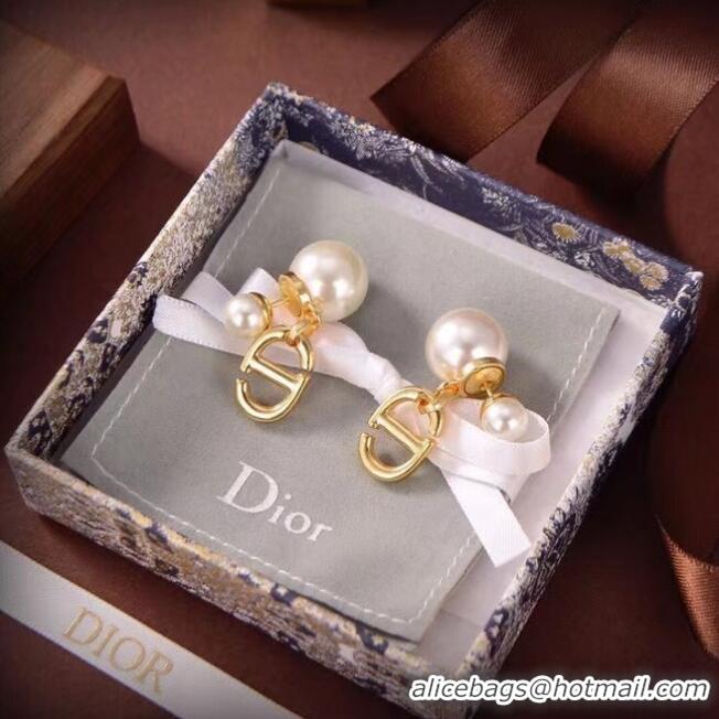 Luxury Classic Dior Earrings CE6674