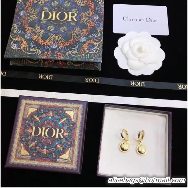 Top Quality Popular Dior Earrings CE6680