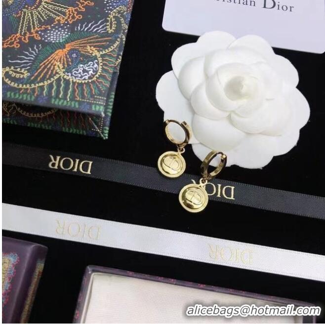 Top Quality Popular Dior Earrings CE6680