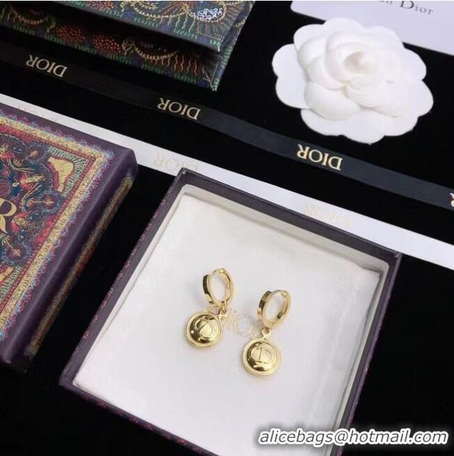 Top Quality Popular Dior Earrings CE6680