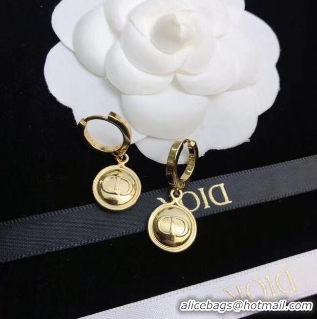 Top Quality Popular Dior Earrings CE6680