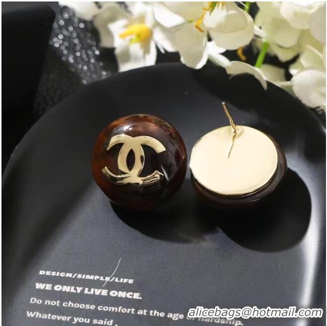 New Product Chanel Earrings CE6699