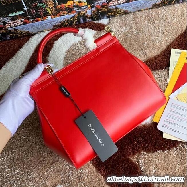 Promotional Dolce & Gabbana Origianl Leather 5157 Red