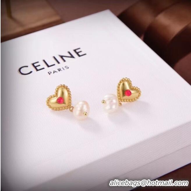 Buy Cheapest Celine Earrings CE6736