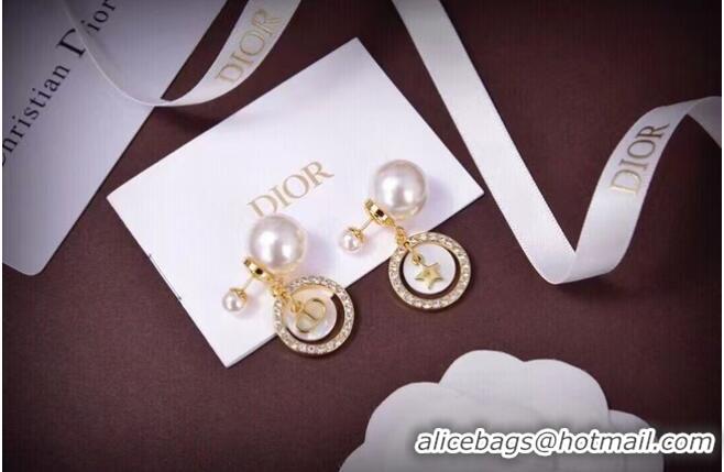 Market Sells Promotional Dior Earrings CE6738