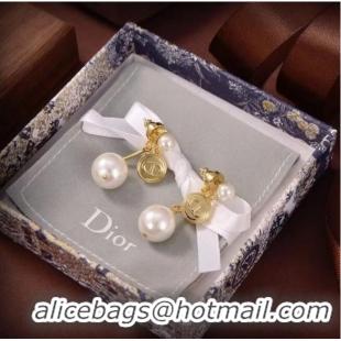 Fashion Discount Dior Earrings CE6748