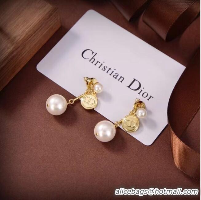 Fashion Discount Dior Earrings CE6748