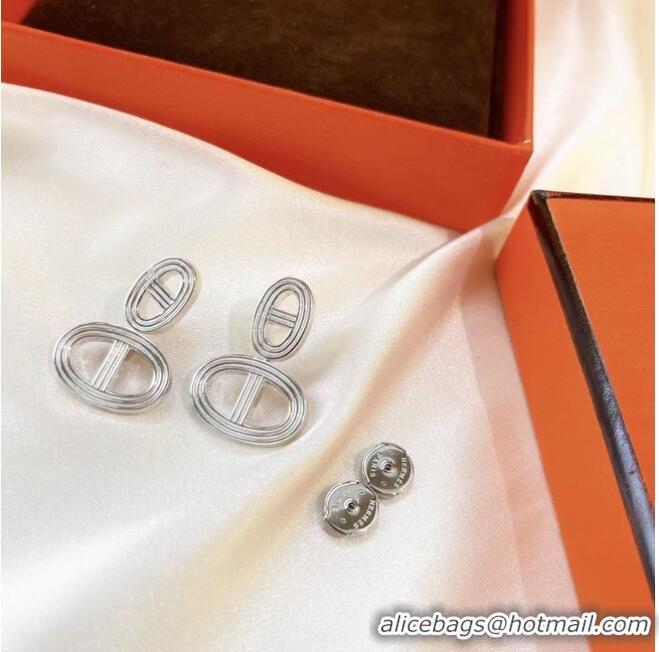 Top Quality Classic Hermes Earrings CE6749