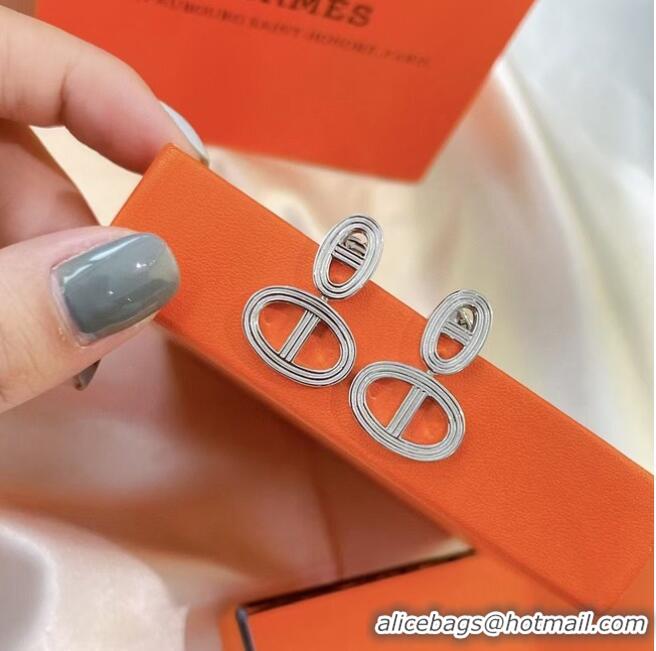 Top Quality Classic Hermes Earrings CE6749