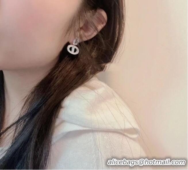 Top Quality Classic Hermes Earrings CE6749