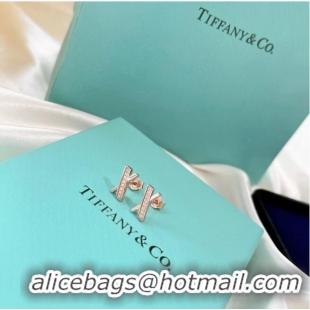 Shop Reasonable Price TIFFANY Earrings CE6752