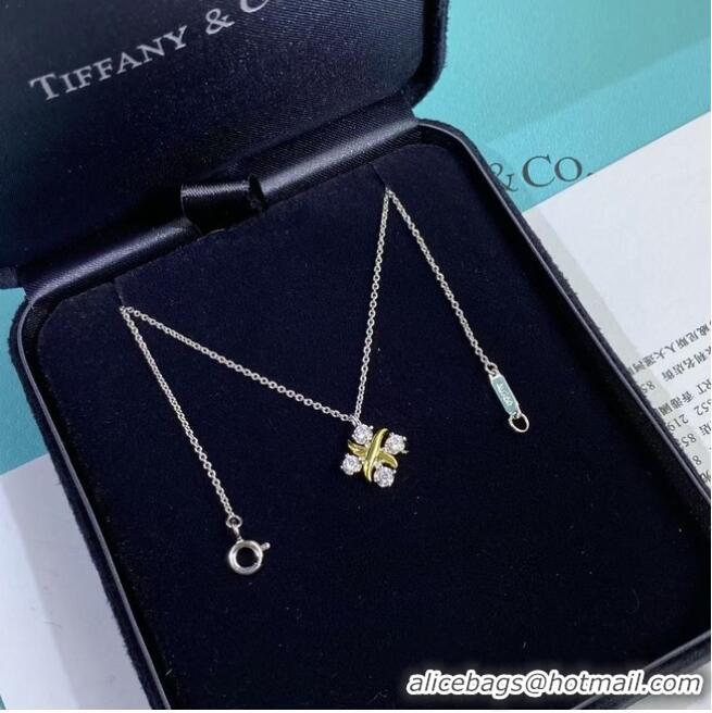 Famous Brand Inexpensive TIFFANY Necklace CE6760