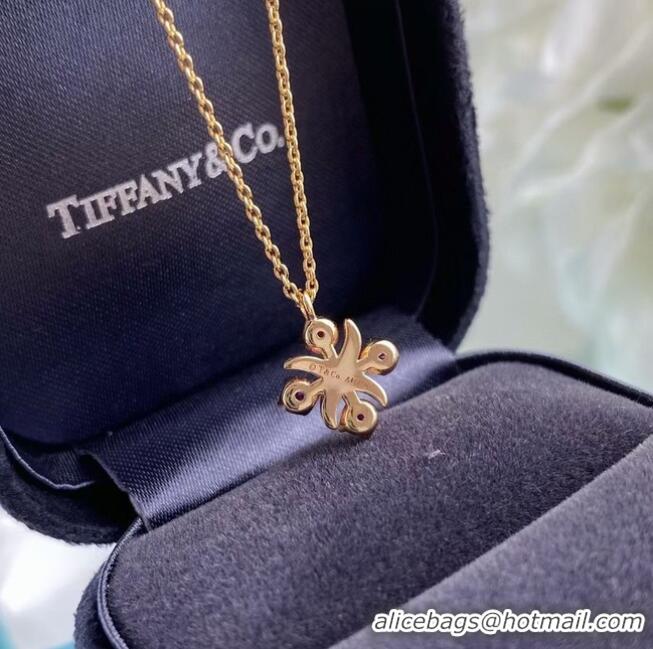 Free Shipping Promotional TIFFANY Necklace CE6764