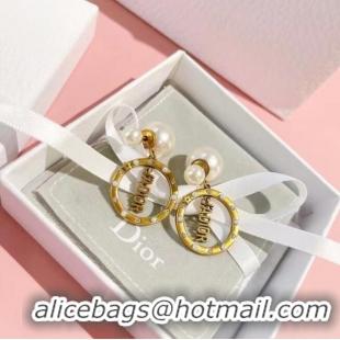 New Release Creation Dior Earrings CE6782