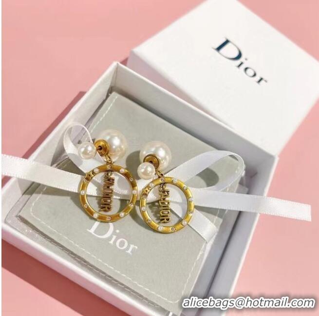 New Release Creation Dior Earrings CE6782